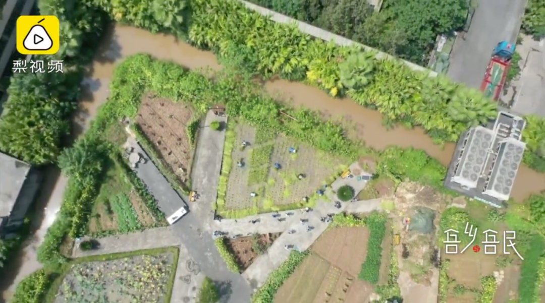 公司楼顶惊现2万平“空中农场”，员工种菜带回家吃休闲区蓝鸢梦想 - Www.slyday.coM