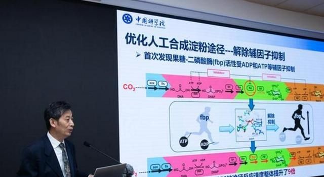 以后不用种地了?我国科学家在实验室人工合成淀粉,原料仅为CO休闲区蓝鸢梦想 - Www.slyday.coM