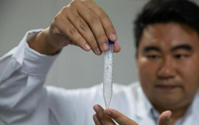 以后不用种地了?我国科学家在实验室人工合成淀粉,原料仅为CO休闲区蓝鸢梦想 - Www.slyday.coM