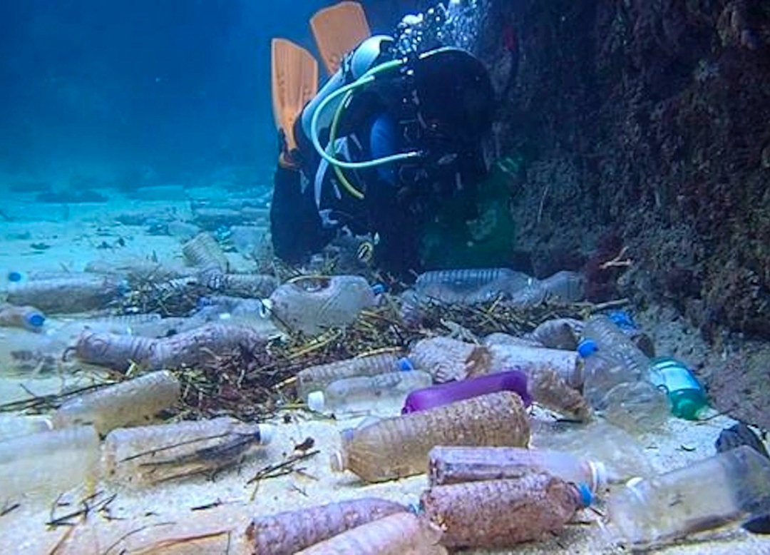 新研究:婴儿粪便中发现大量塑料微粒,含量是成人的13.8倍!休闲区蓝鸢梦想 - Www.slyday.coM 新研究:婴儿粪便中发现大量塑料微粒,含量是成人的13.8倍!休闲区蓝鸢梦想 - Www.slyday.coM