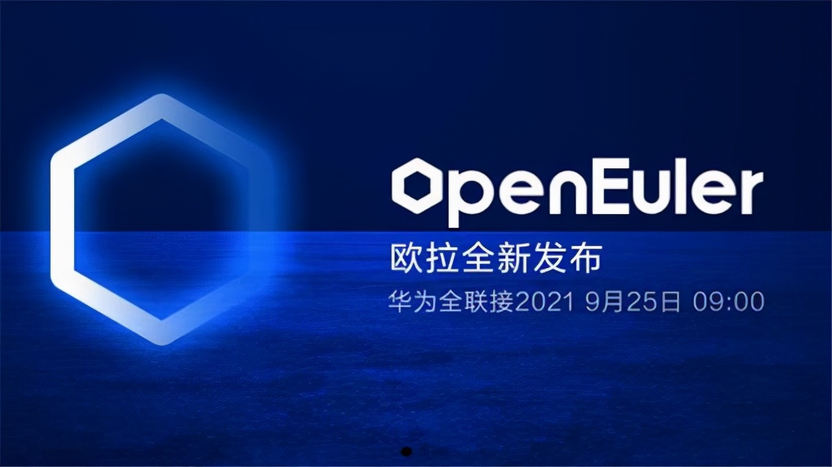 任正非力挺华为耗时10年研制出欧拉系统补齐国产系统的短板