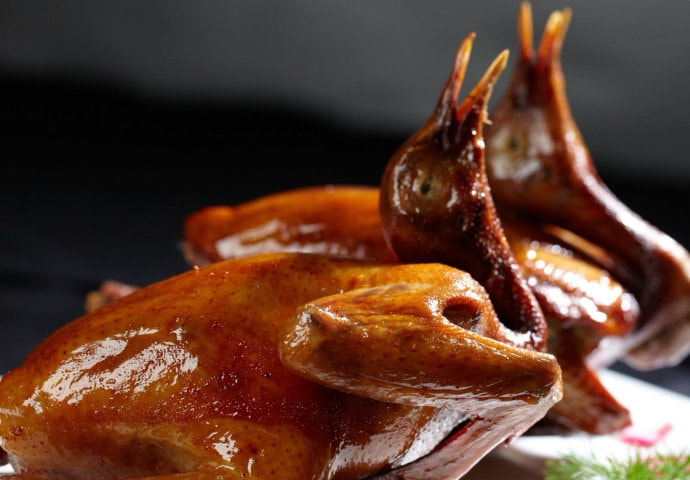 乳鸽|石岐|中山_新浪新闻