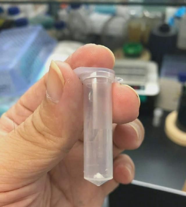 以后不用种地了?我国科学家在实验室人工合成淀粉,原料仅为CO休闲区蓝鸢梦想 - Www.slyday.coM