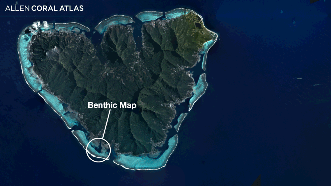 地图详细记录了全球海洋在15米水深处的生态环境,包括珊瑚礁,沙子