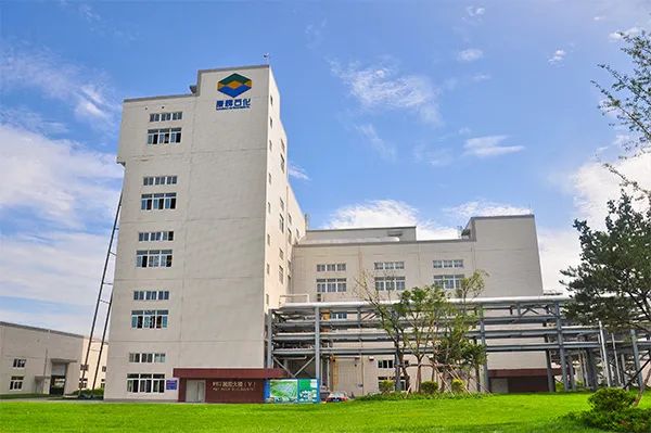 总投资18亿元恒力石化年产45万吨生物可降解新材料项目开工附恒力集团