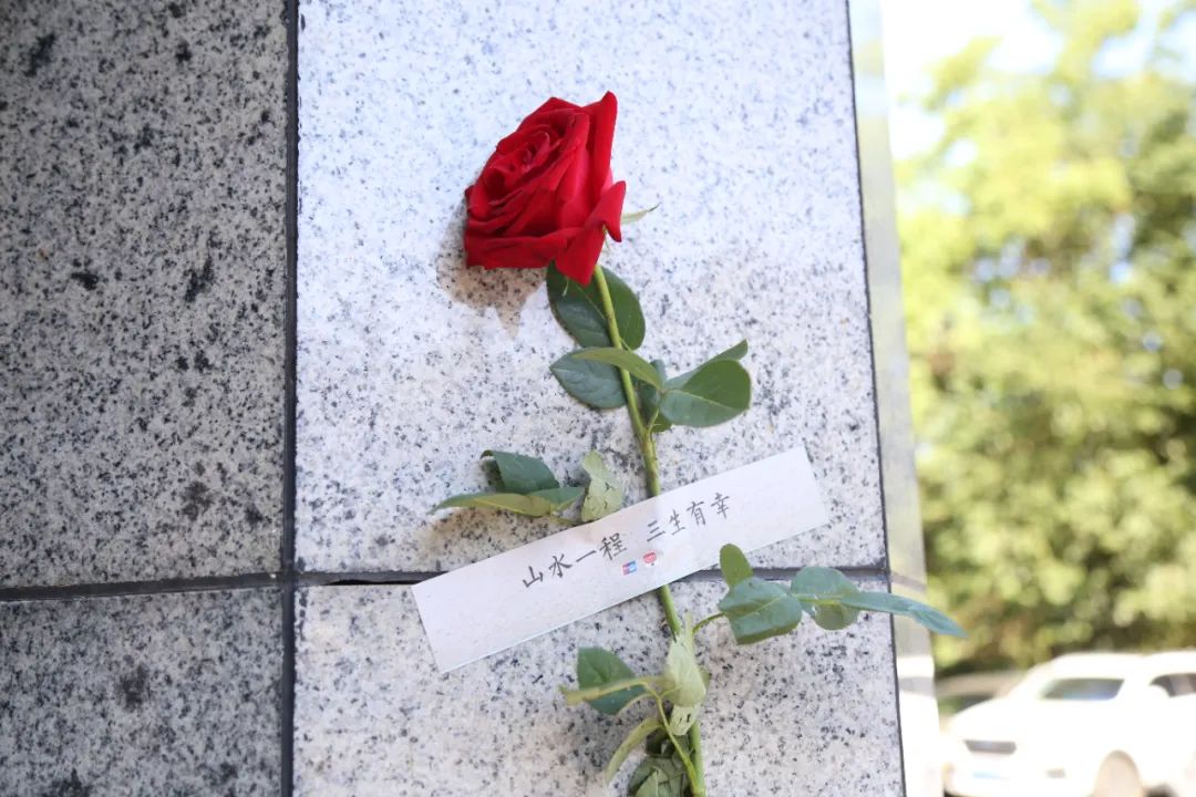 这朵应急玫瑰请查收