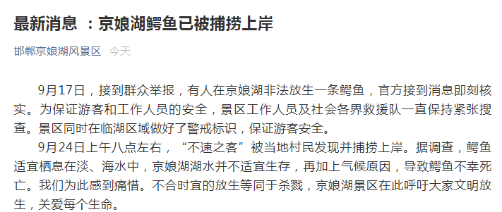 被非法放生的鳄鱼，死了休闲区蓝鸢梦想 - Www.slyday.coM