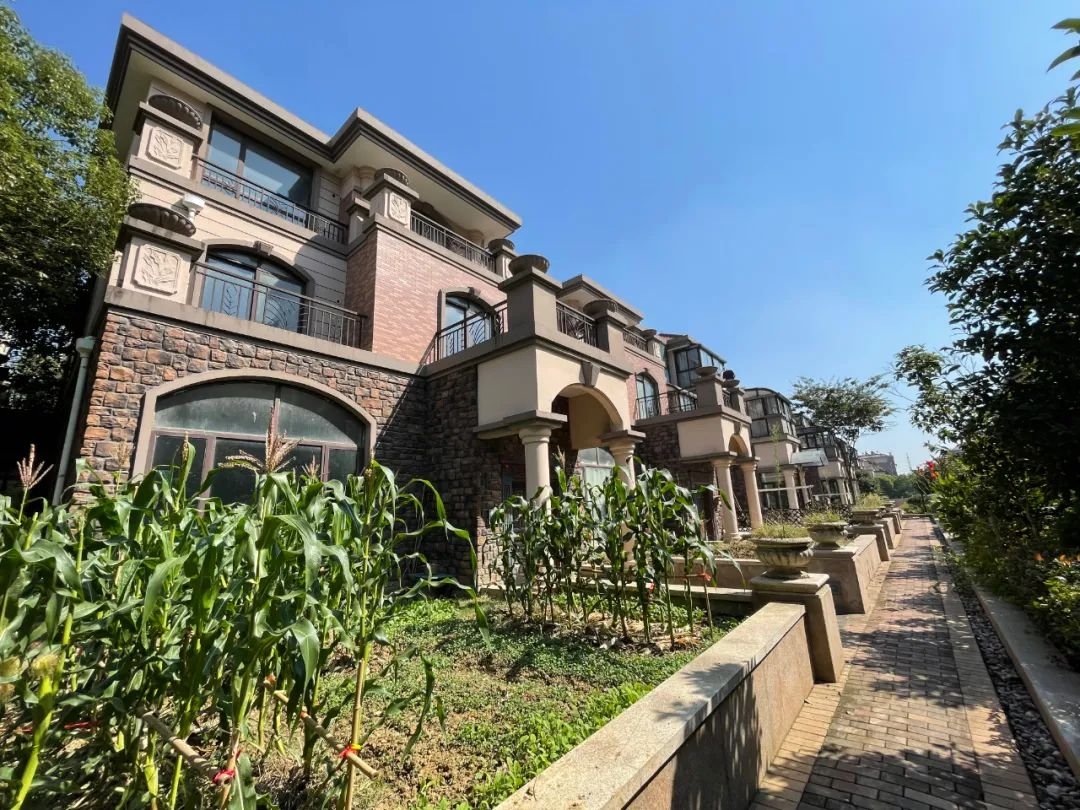 小区前侧是一期的别墅区,中间则是洋房和小高层,外围的一些高层则是