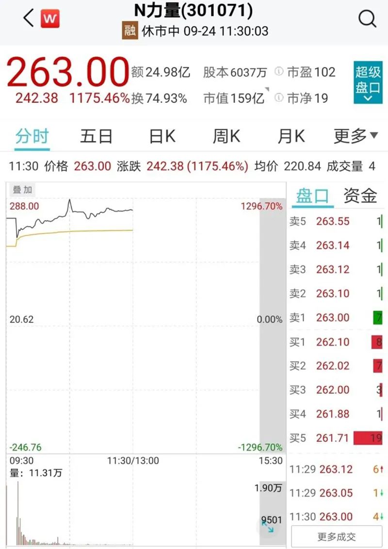 “首日大涨1296%，单签收益超13.3万元！创业板又一只“大肉签”诞生