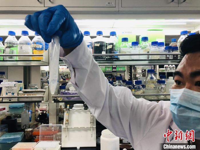中科院天津工业生物技术研究所蔡韬副研究员在实验室展示人工合成淀粉样品。 中科院科技摄影联盟 供图