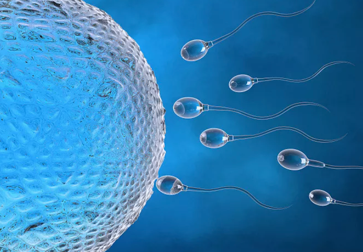 供精者精液合格率不足两成，专家建议供精年龄下限调低至20岁休闲区蓝鸢梦想 - Www.slyday.coM