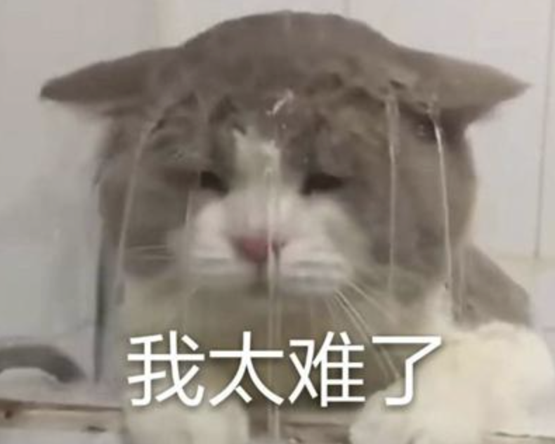 马龙险胜，许昕无缘男单四强！太难了……休闲区蓝鸢梦想 - Www.slyday.coM