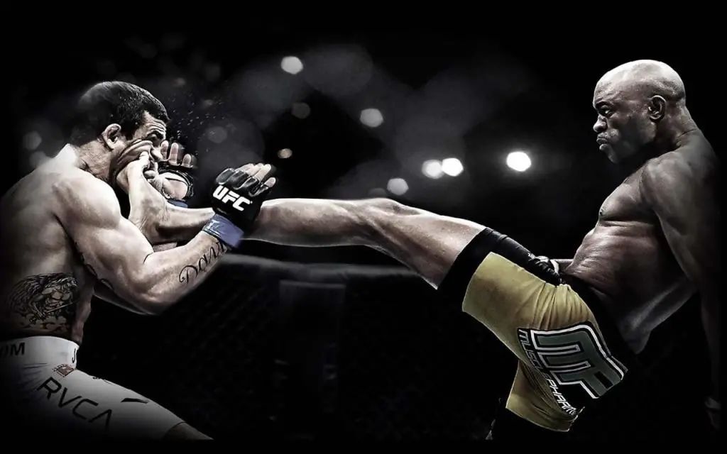 mma暴力ko时刻,一拳放倒,凶狠无比|mma|格斗_新浪新闻