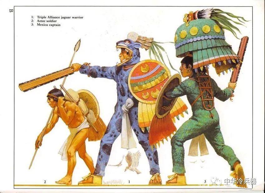 人类养大的猩猩夏特克 红毛猩猩上大学结局