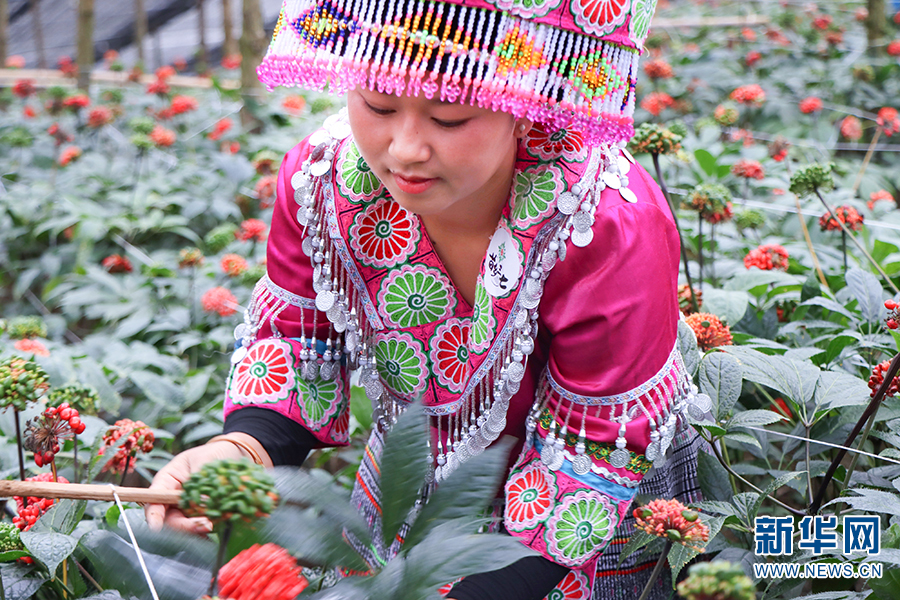 云南省委省政府现场办公会里的新希望⑤以品牌锻造品