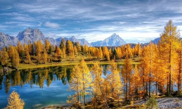 点评5张秋景照片,累积拍摄经验,帮助我们扬长避短