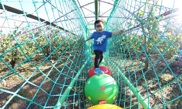 北京私藏小众家庭农场,室内室外项目多,孩子能玩一整天
