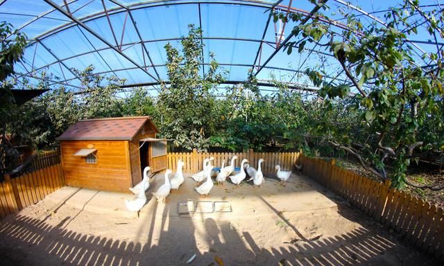 北京私藏小众家庭农场,室内室外项目多,孩子能玩一整天