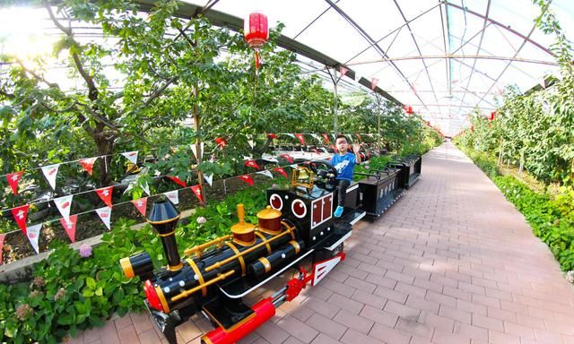 奥肯尼克家庭农场位于北京市大兴区长子营镇东北台村,园区主要以农趣