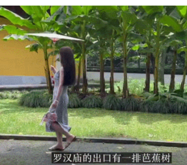 一边向佛，一边直播割韭菜，被央视怒批后，“佛媛”将彻底凉凉休闲区蓝鸢梦想 - Www.slyday.coM