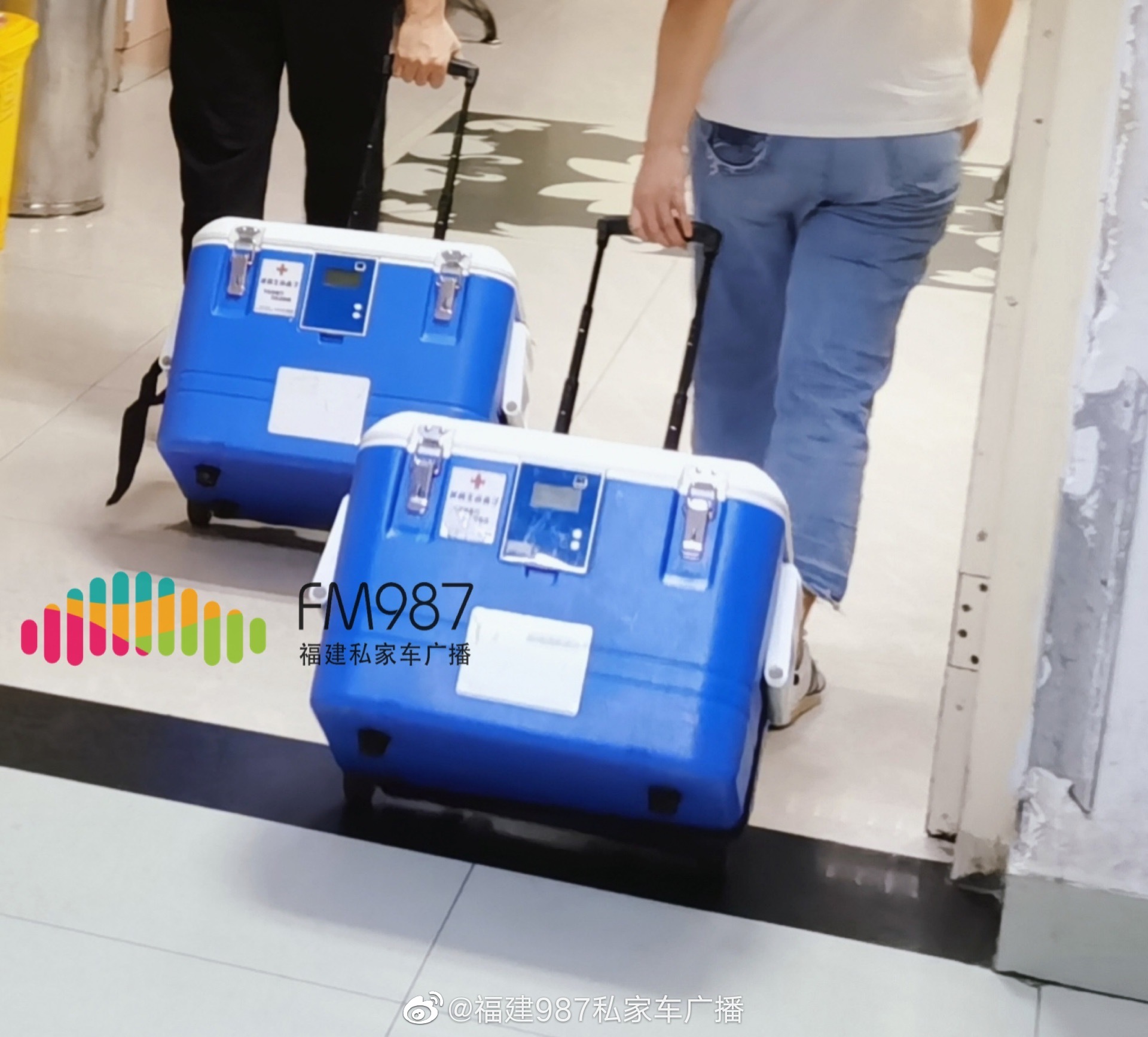 王佳欣被追授青年五四奖章 亲爱的佳欣，谢谢你休闲区蓝鸢梦想 - Www.slyday.coM