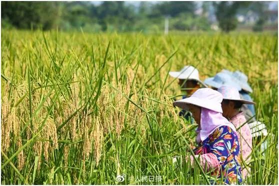 大到暴雨！石家庄多人被困车内丨明确了！10月8日起执行丨国庆出游，机票低至99元→休闲区蓝鸢梦想 - Www.slyday.coM