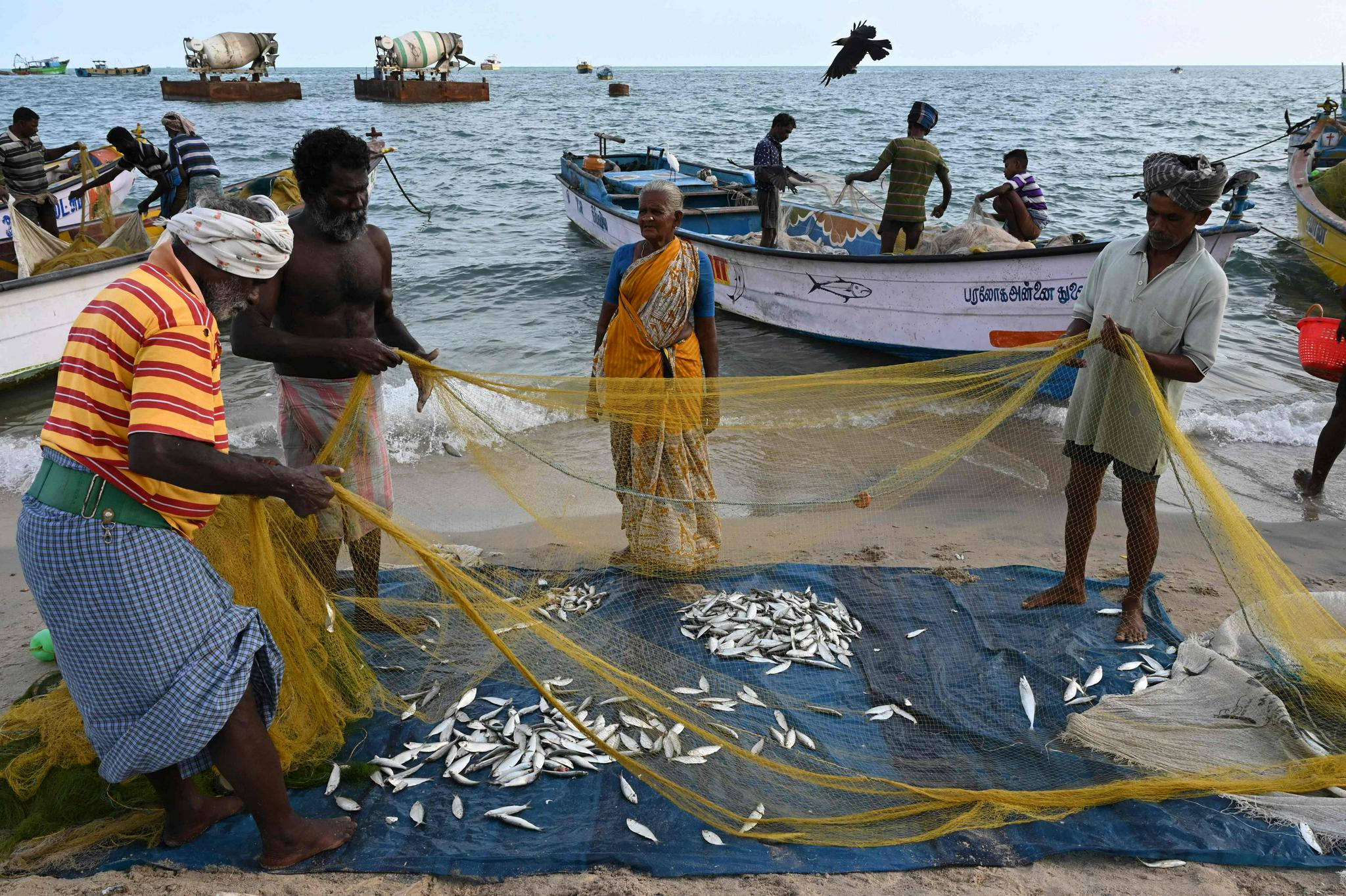 海边捕鱼人|印度|新华社_新浪新闻