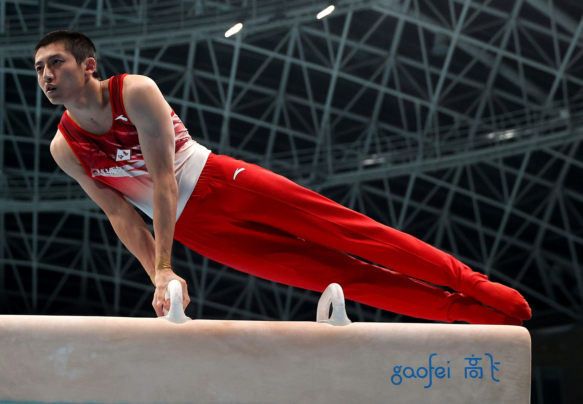 体操——男子鞍马决赛赛况|体操|江苏队|四川队_新浪新闻