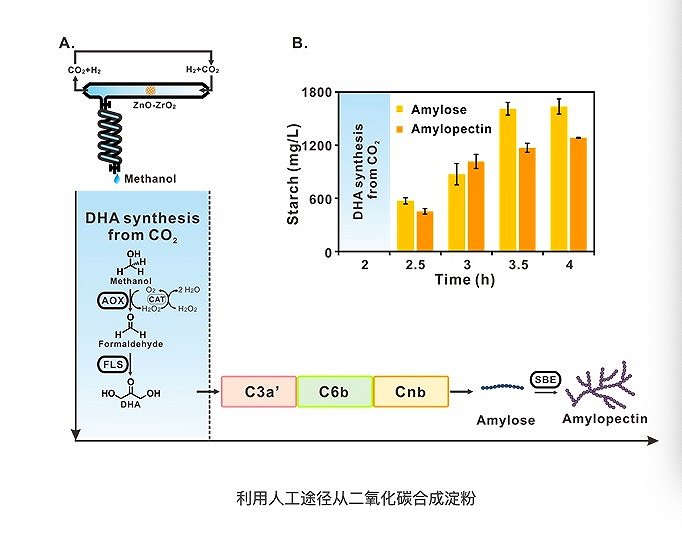 图片来源: 天津工业生物技术研究所
