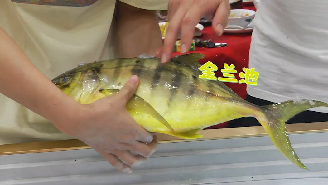 有红三刀,撞爆石,金兰池等不同的鱼,海鱼一般都是越大条鱼越鲜美.