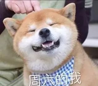 大到暴雨！石家庄多人被困车内丨明确了！10月8日起执行丨国庆出游，机票低至99元→休闲区蓝鸢梦想 - Www.slyday.coM