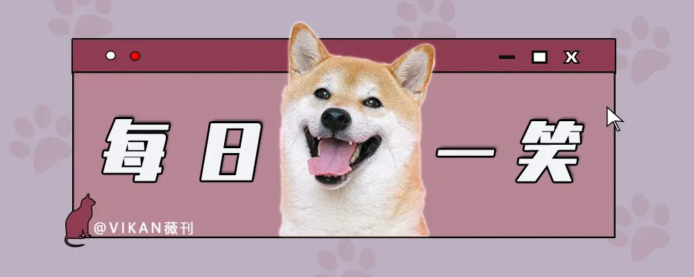 每日一笑，原来这就是从非洲来的羊驼！休闲区蓝鸢梦想 - Www.slyday.coM