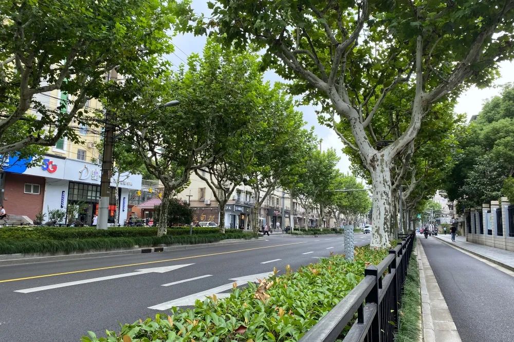 (延长路)(广延路)浦东新区南码头林荫片区(南码头路)(兰陵路)(临沂路)