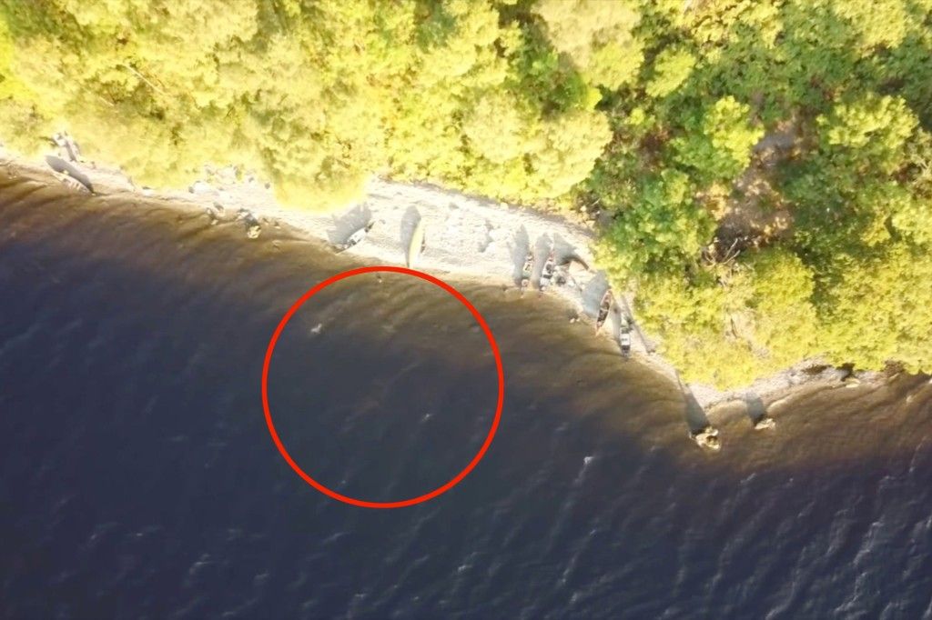 惊现尼斯湖水怪无人机拍下神秘画面