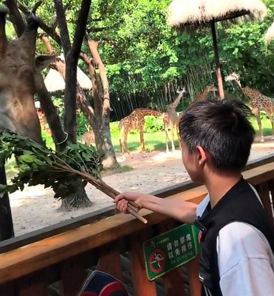 仅4小时!全红婵冲上热搜第3,和师哥逛动物园,标志笑容又回来了休闲区蓝鸢梦想 - Www.slyday.coM 仅4小时!全红婵冲上热搜第3,和师哥逛动物园,标志笑容又回来了休闲区蓝鸢梦想 - Www.slyday.coM