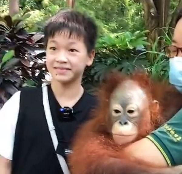 仅4小时!全红婵冲上热搜第3,和师哥逛动物园,标志笑容又回来了休闲区蓝鸢梦想 - Www.slyday.coM 仅4小时!全红婵冲上热搜第3,和师哥逛动物园,标志笑容又回来了休闲区蓝鸢梦想 - Www.slyday.coM