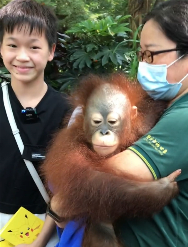 全红婵第一次去动物园！老虎隔着玻璃向她扑来，红姐吓了一跳：哇休闲区蓝鸢梦想 - Www.slyday.coM