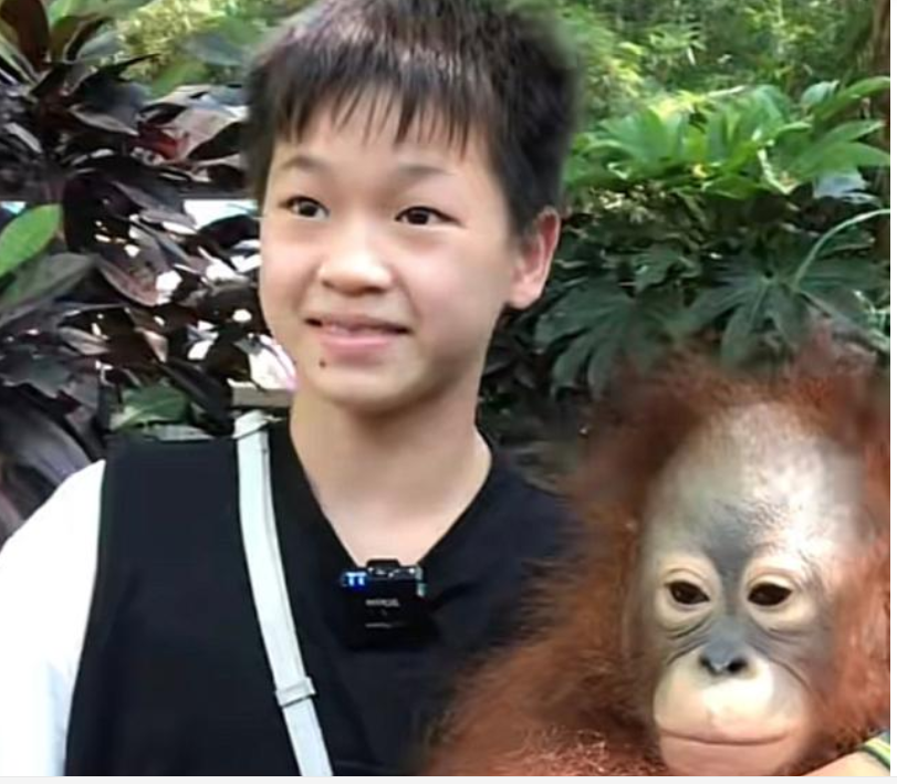 梦想成真！陈艾森带着全红婵去动物园游玩，与红猩猩合影太可爱休闲区蓝鸢梦想 - Www.slyday.coM