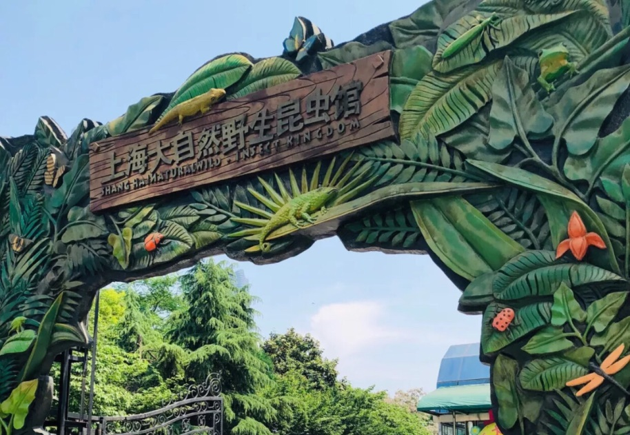 第二届野生昆虫馆蟋蟀争霸赛在沪举办