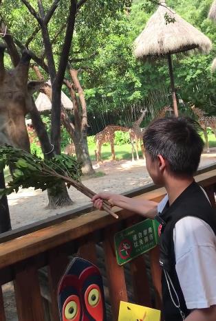 全红婵飞往广州!跳水师哥带逛动物园,开心合影,完成第一个心愿休闲区蓝鸢梦想 - Www.slyday.coM 全红婵飞往广州!跳水师哥带逛动物园,开心合影,完成第一个心愿休闲区蓝鸢梦想 - Www.slyday.coM