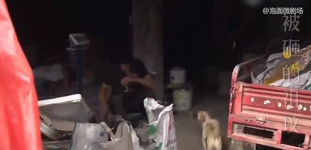 91岁老人刚下葬，坟却被邻居砸了，儿女铲平邻居房子泄愤！纪录片休闲区蓝鸢梦想 - Www.slyday.coM