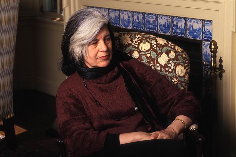 911思想考古丨桑塔格:真正的战斗与空洞的隐喻|战争|美国_新浪新闻