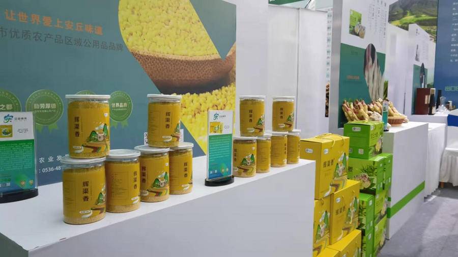让世界爱上安丘味道，2021山东（安丘）出口农产品博览会举办休闲区蓝鸢梦想 - Www.slyday.coM