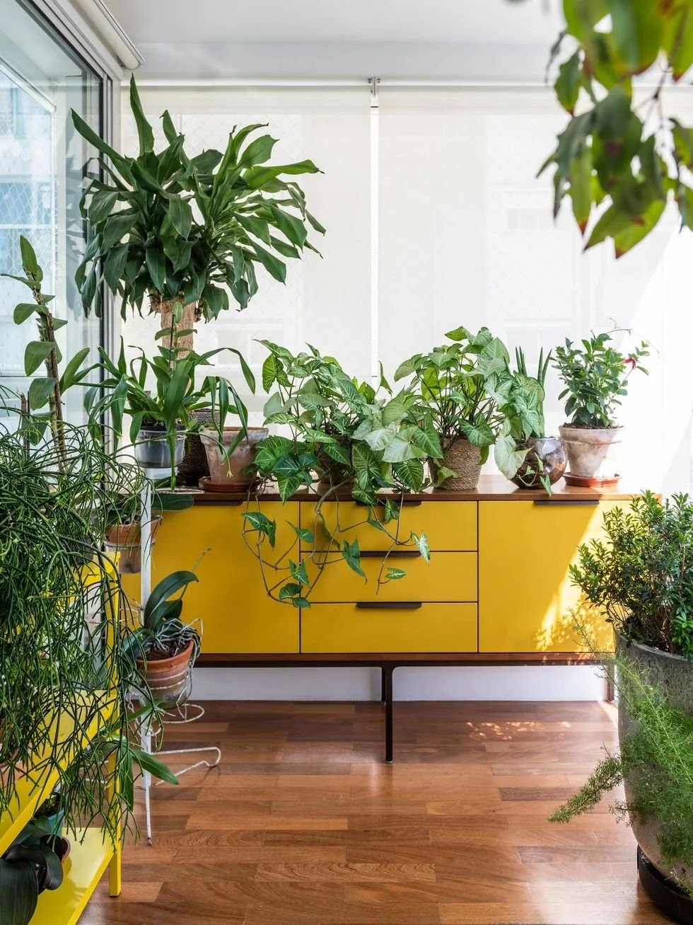 138㎡新房,阳台成最大亮点,种绿植,妥妥的迷你花园|沙发|阳台|设计