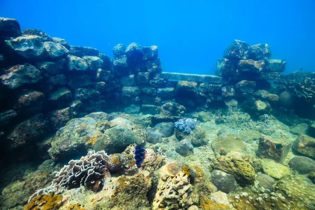 分界洲岛海底的秘密，藏不住了！休闲区蓝鸢梦想 - Www.slyday.coM