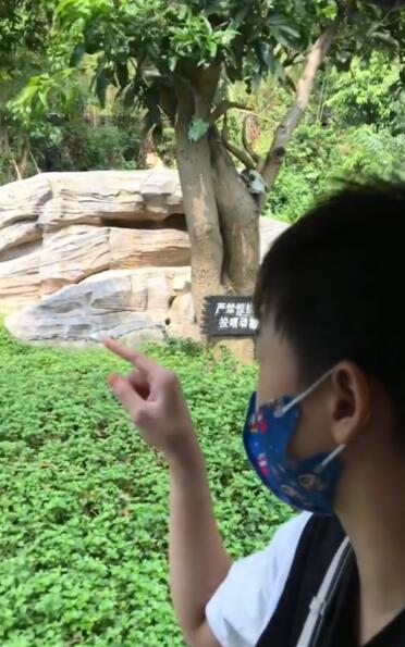 全红婵太开心了！接了广告后又逛动物园，还疑似入住超豪华酒店休闲区蓝鸢梦想 - Www.slyday.coM