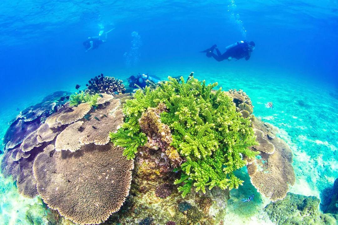分界洲岛海底的秘密，藏不住了！休闲区蓝鸢梦想 - Www.slyday.coM
