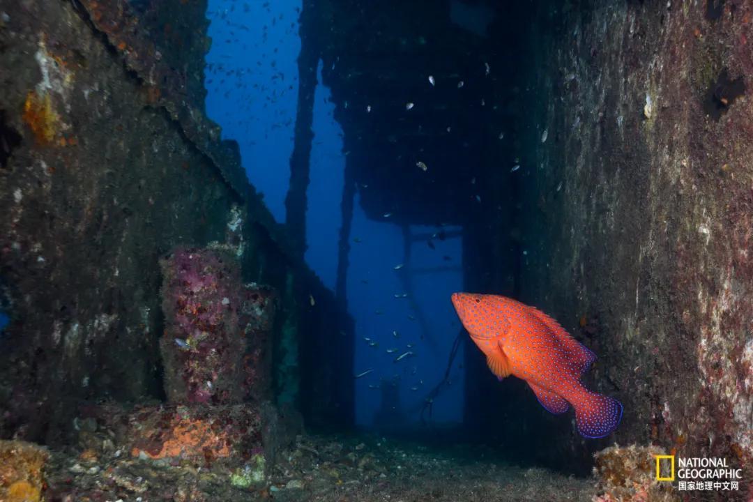 分界洲岛海底的秘密，藏不住了！休闲区蓝鸢梦想 - Www.slyday.coM