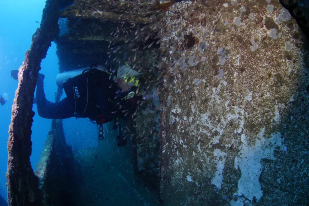 分界洲岛海底的秘密，藏不住了！休闲区蓝鸢梦想 - Www.slyday.coM