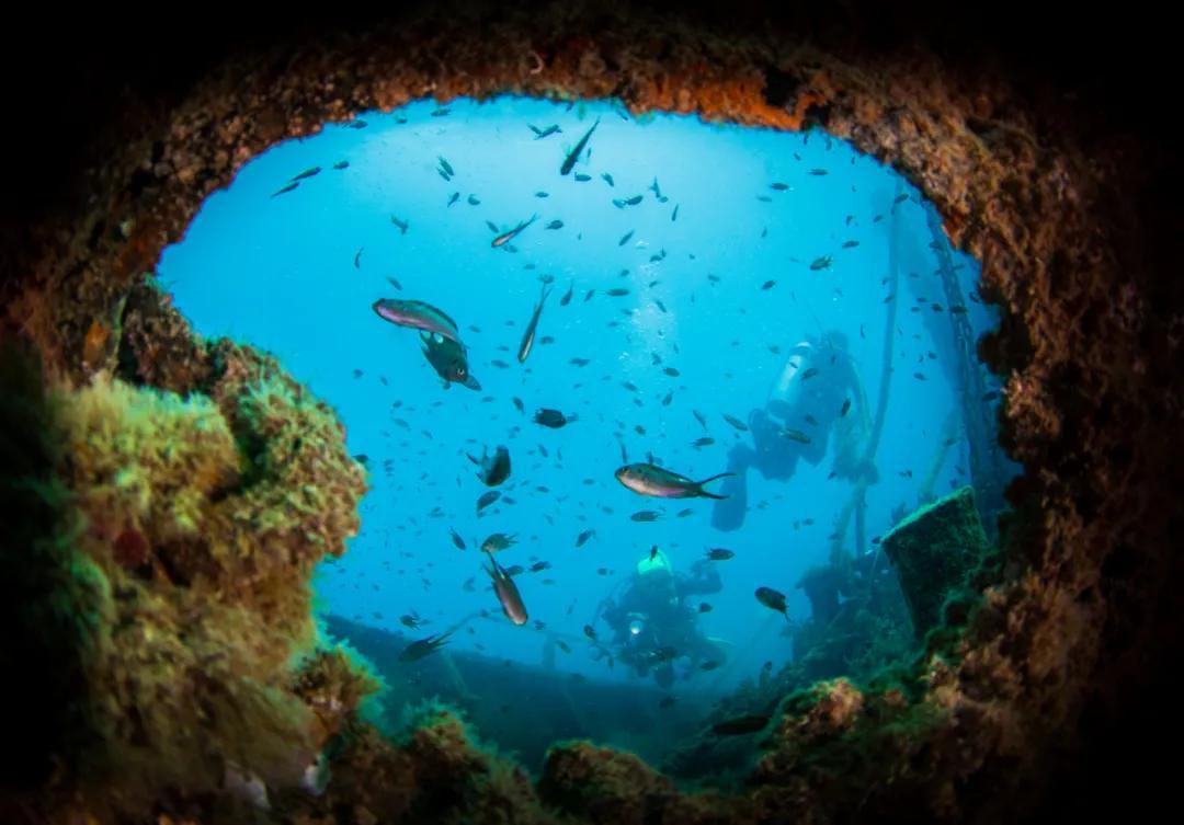 分界洲岛海底的秘密，藏不住了！休闲区蓝鸢梦想 - Www.slyday.coM